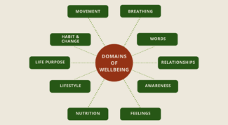 Map of holistic wellbeing